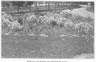 http://www.lynchsferry.com/uploads/images/F07/riversidepark/thumb_1930_riverside.jpg