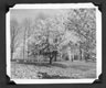 http://www.lynchsferry.com/uploads/images/F07/riversidepark/thumb_Riverside_park_packet.jpg